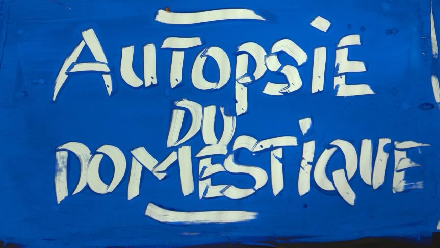 photo video_Autopsie_du_domestique